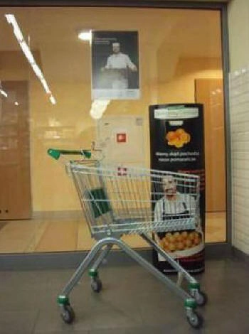 carrelli spesa quattro ruote